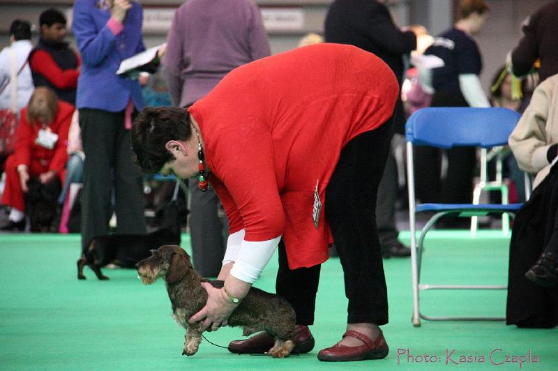 Crufts2011_2 828.jpg